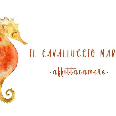 Il Cavalluccio Marino Manarola Exteriér fotografie