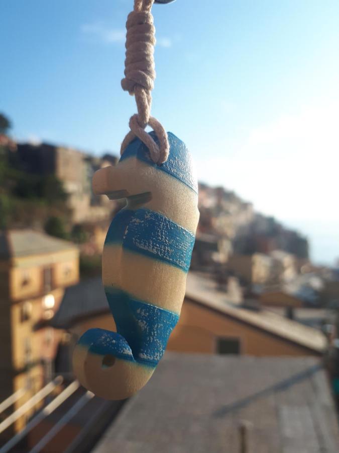 Il Cavalluccio Marino Manarola Exteriér fotografie